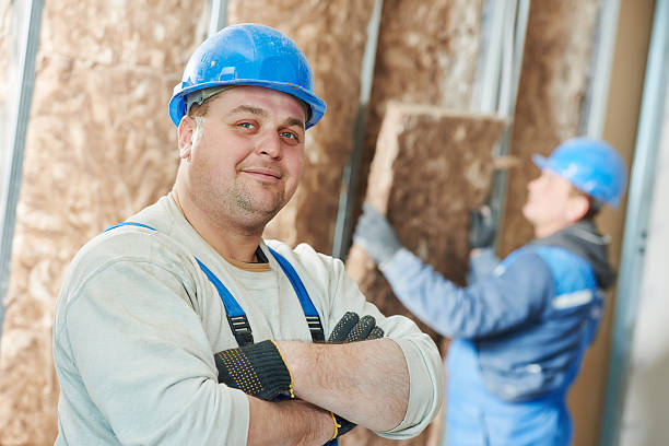 Best Cellulose Insulation  in Littlestown, PA